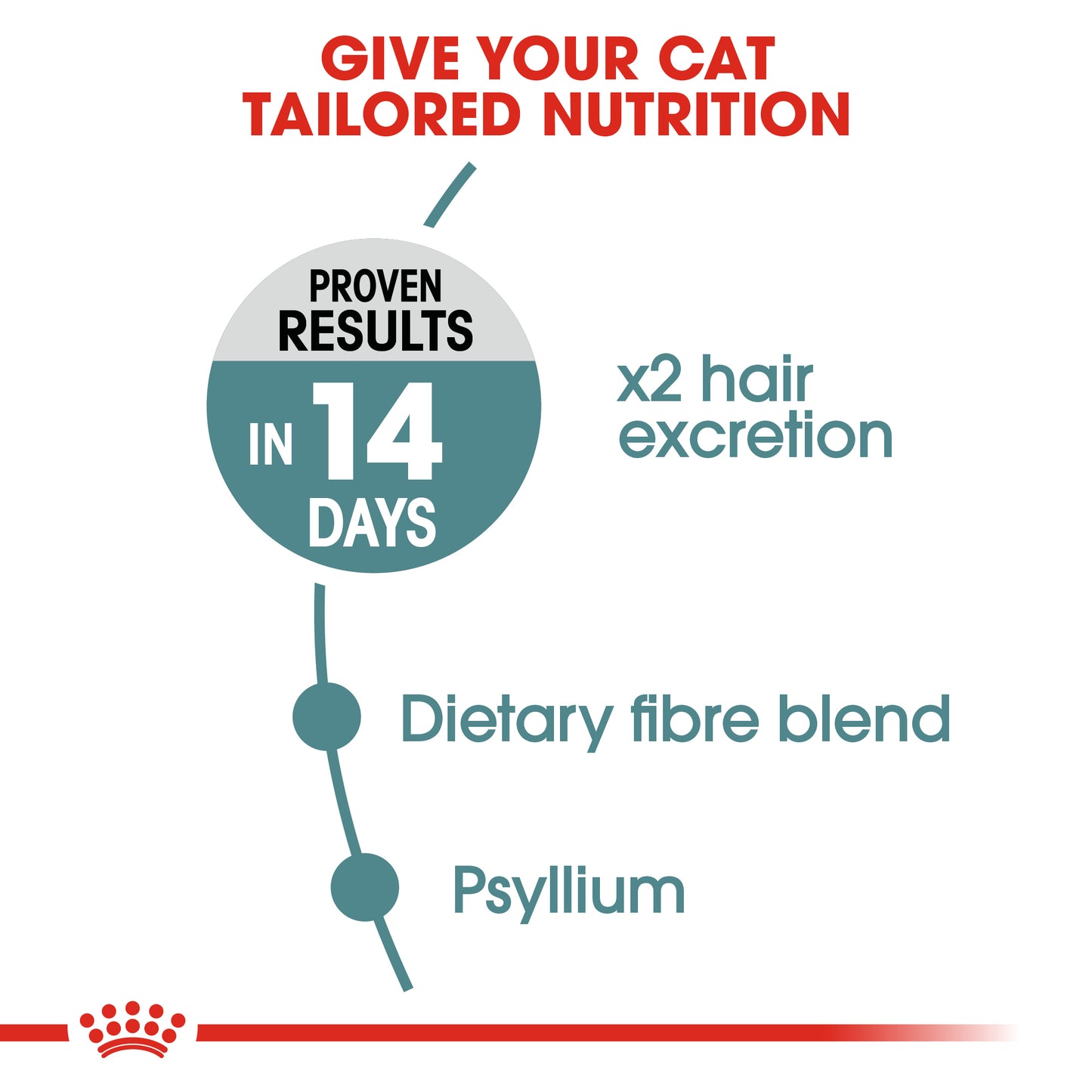 Royal Canin Hairball Care | Dry Cat Food