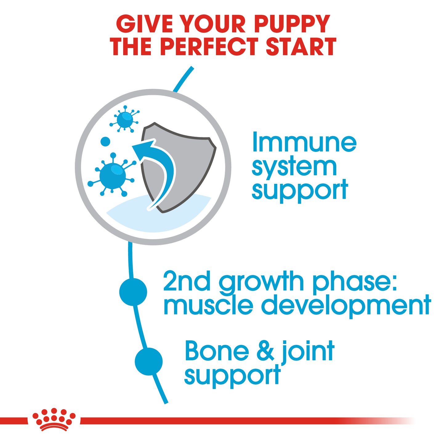 Royal Canin Giant Puppy | Dry Dog Food