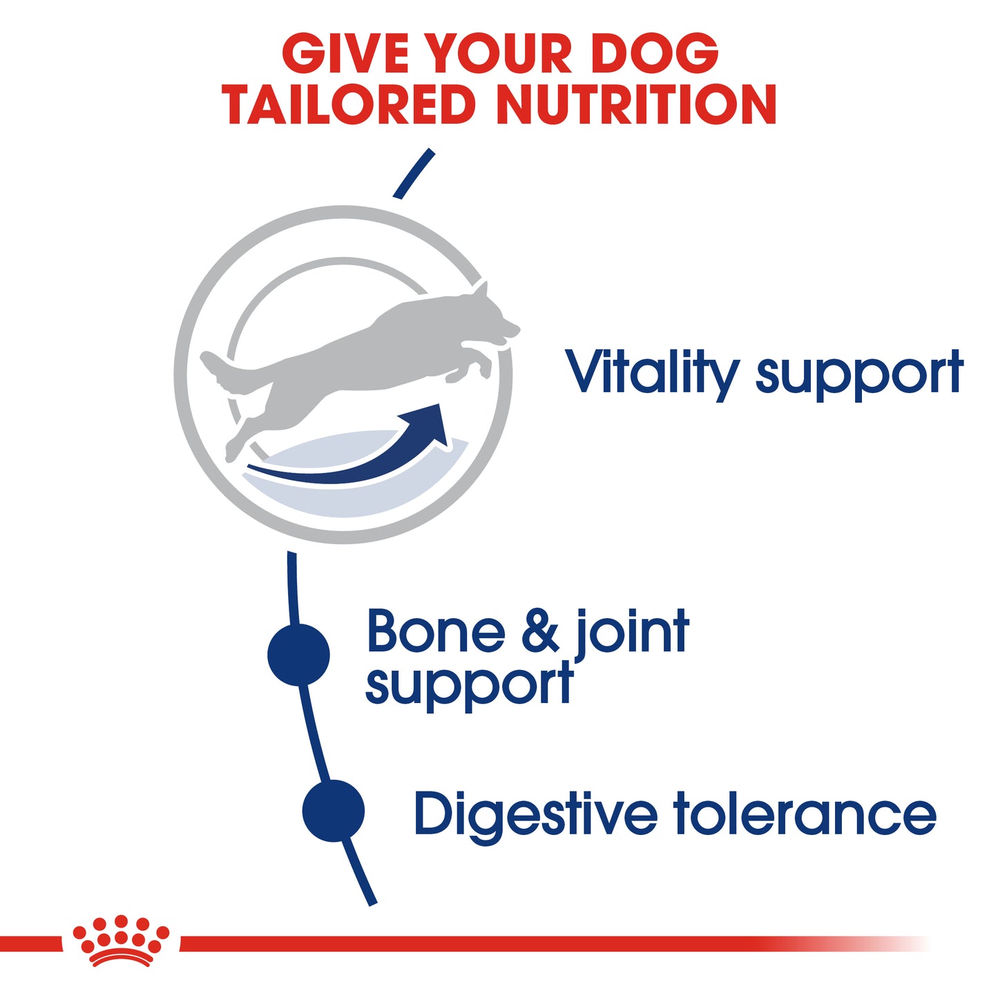 Royal Canin Maxi Adult 5+ | Dry Dog Food