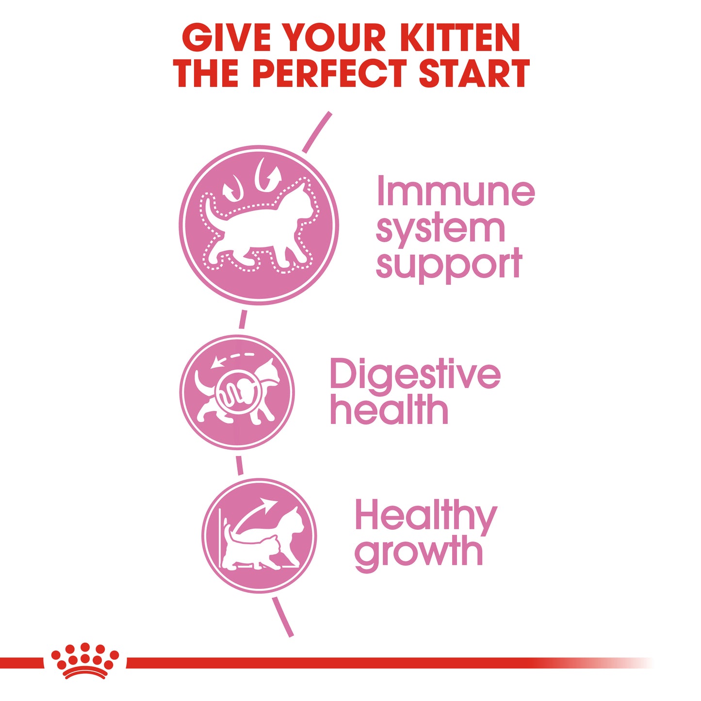 Royal Canin Kitten | Dry Cat Food