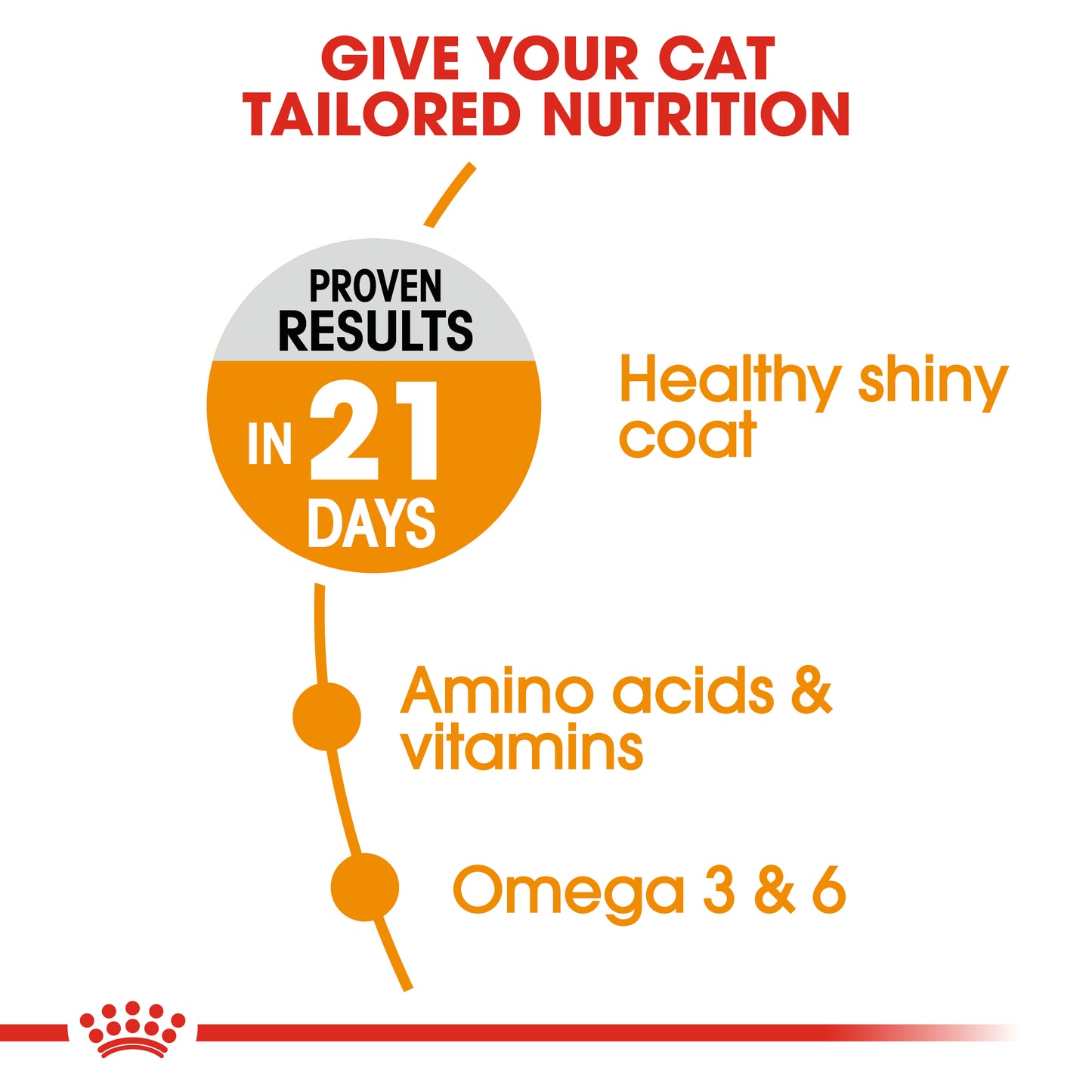 Royal Canin Hair & Skin | Dry Cat Food