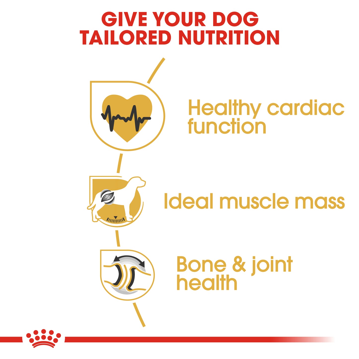 Royal Canin Rottweiler Adult | Dry Dog Food