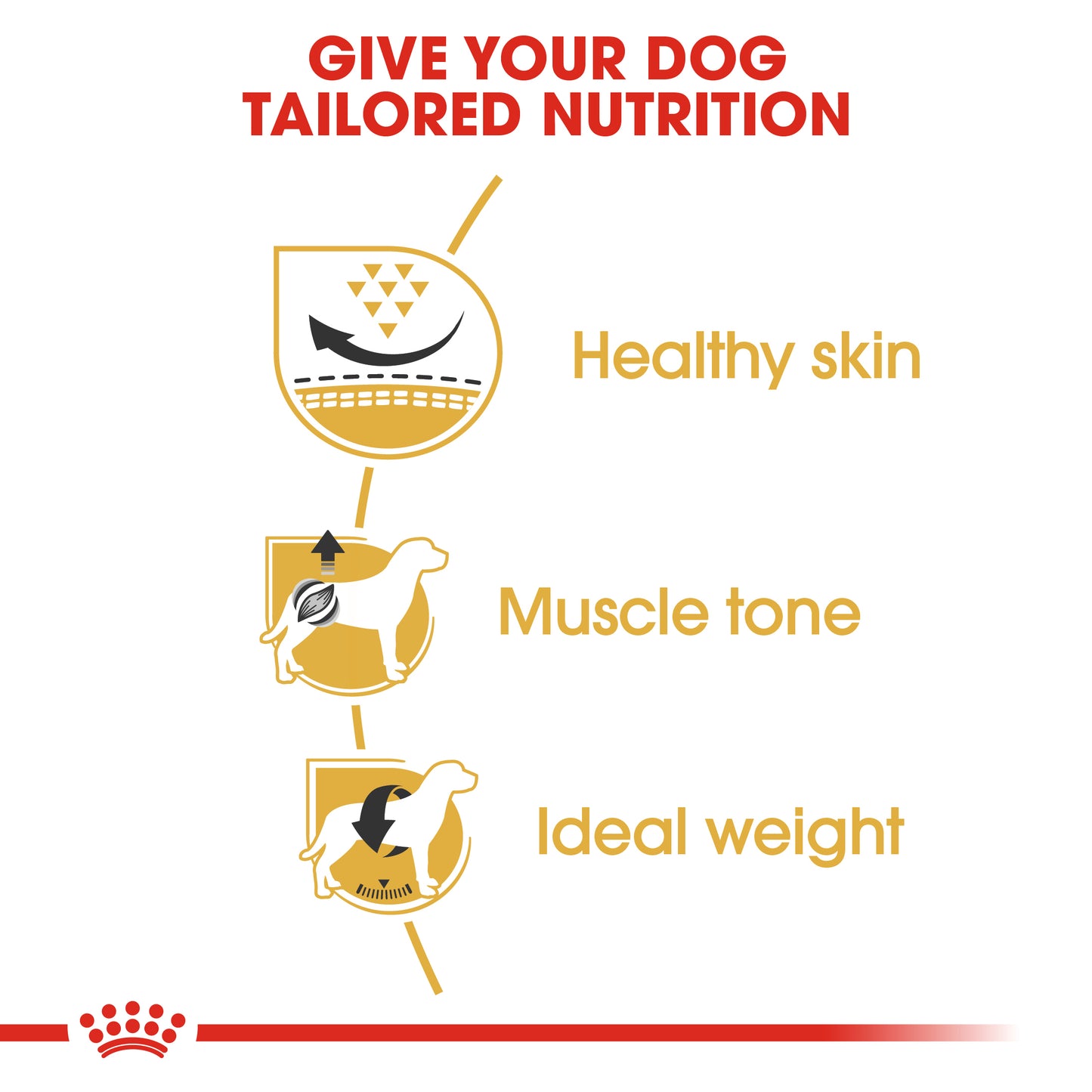 Royal Canin Pug Adult | Dry Dog Food