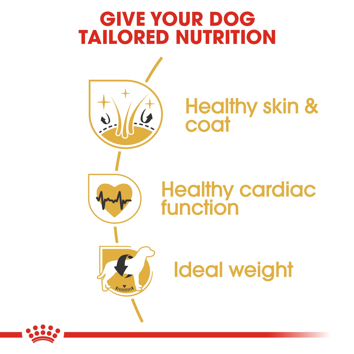 Royal Canin Golden Retriever Adult | Dry Dog Food