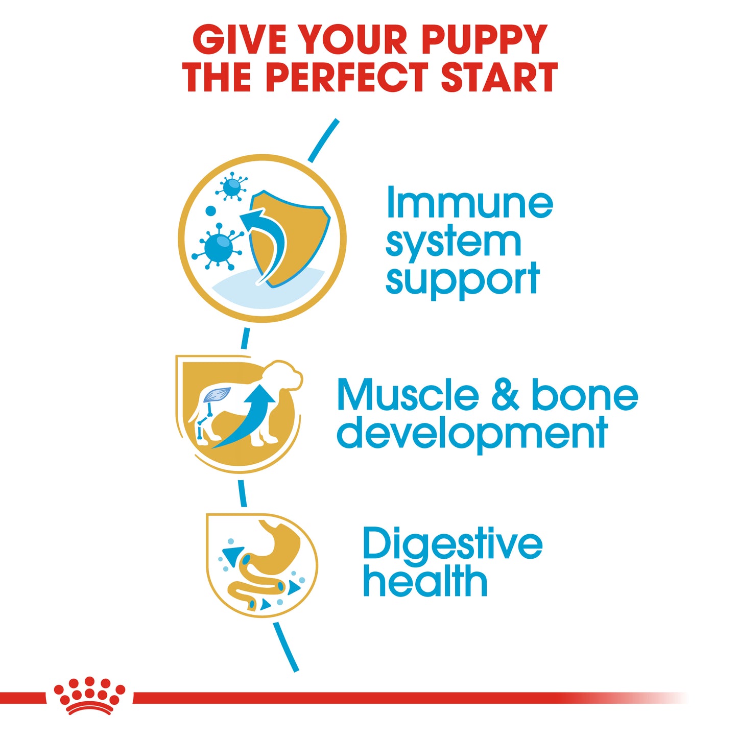 Royal Canin Rottweiler Puppy | Dry Dog Food
