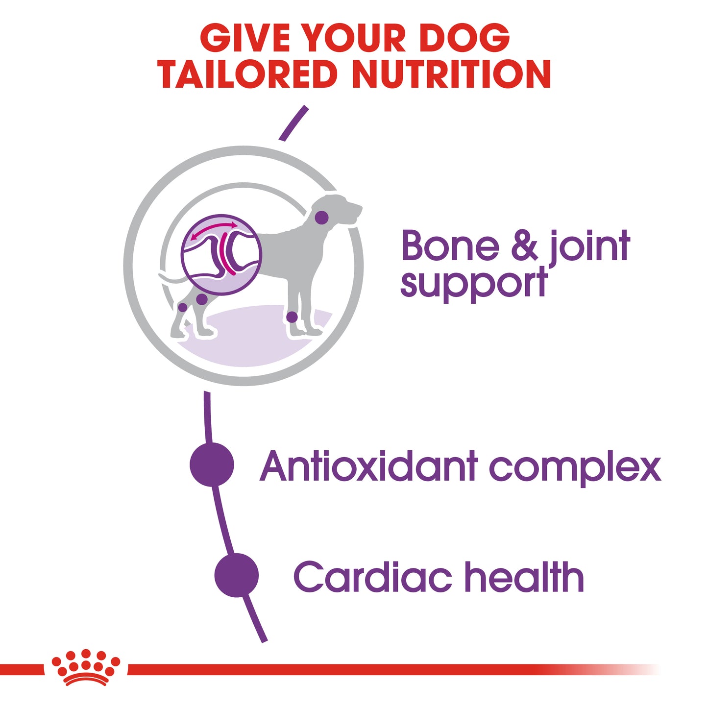 Royal Canin Giant Adult | Dry Dog Food