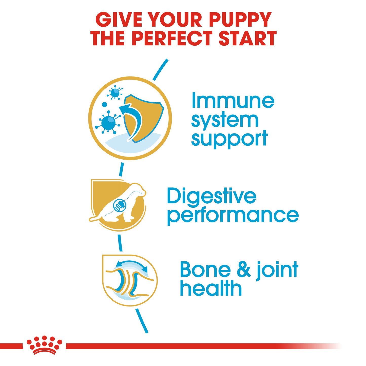 Royal Canin German Shepherd Puppy | Dry Dog Food