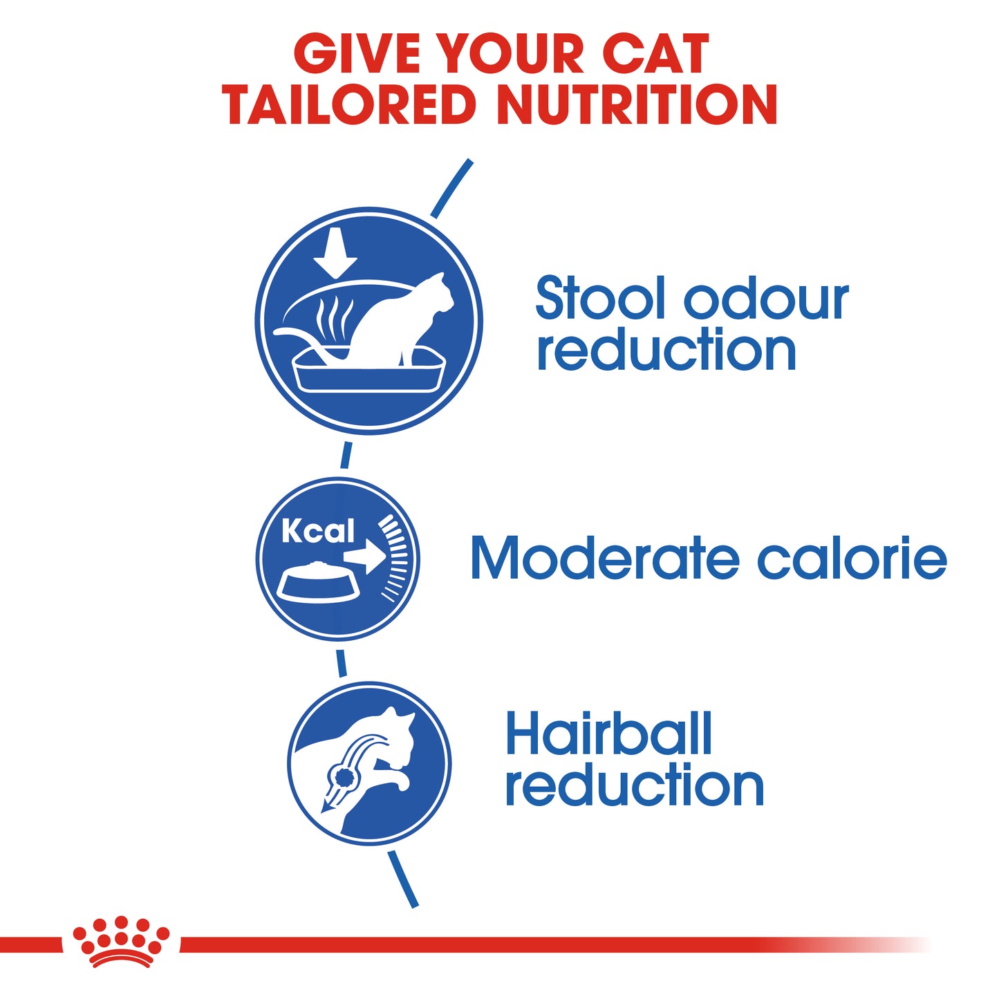Royal Canin Indoor | Dry Cat Food