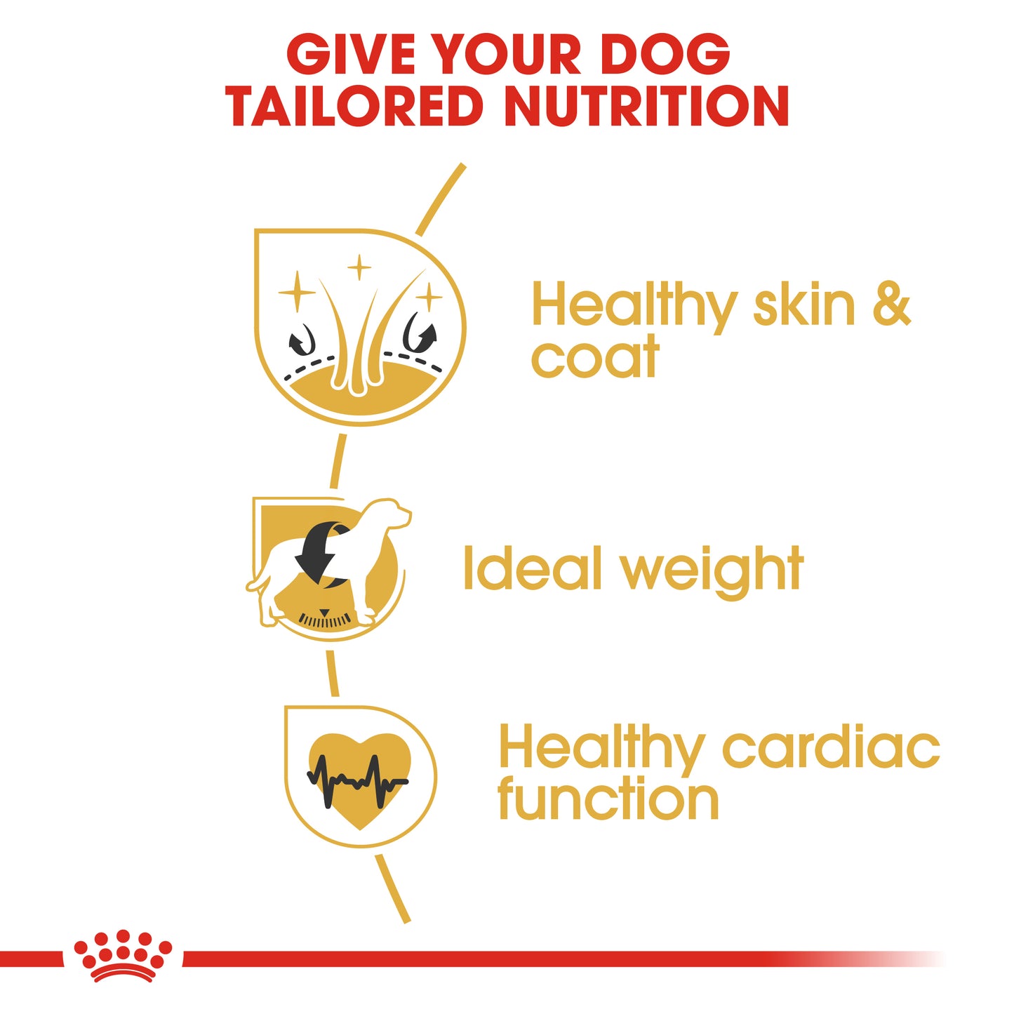 Royal Canin Cocker Adult | Dry Dog Food