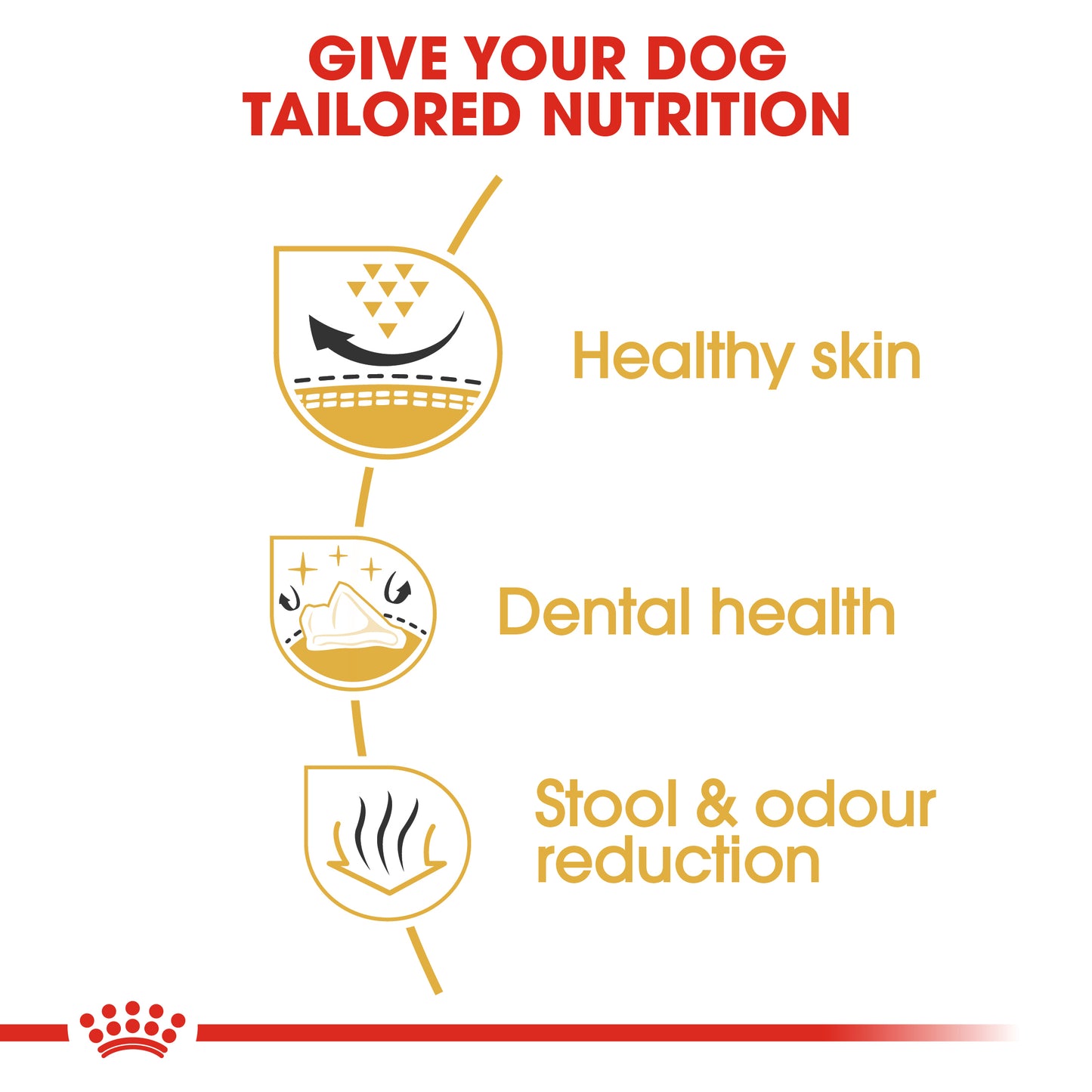 Royal Canin Shih Tzu Adult | Dry Dog Food