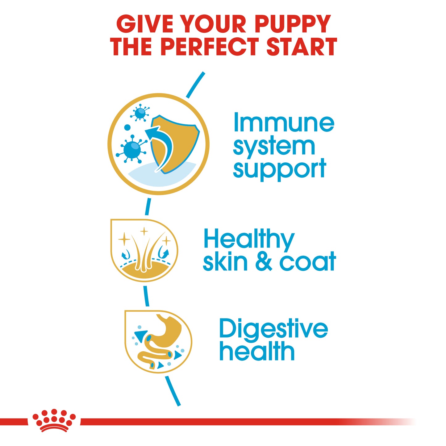 Royal Canin Golden Retriever Puppy | Dry Dog Food