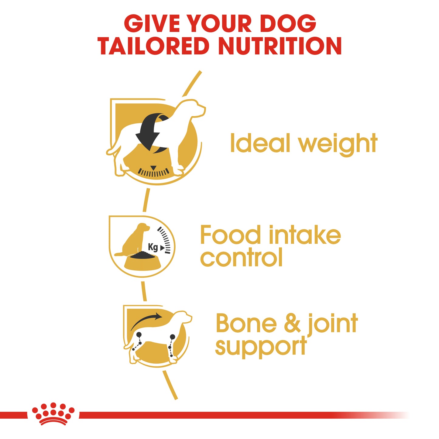 Royal Canin Beagle Adult | Dry Dog Food