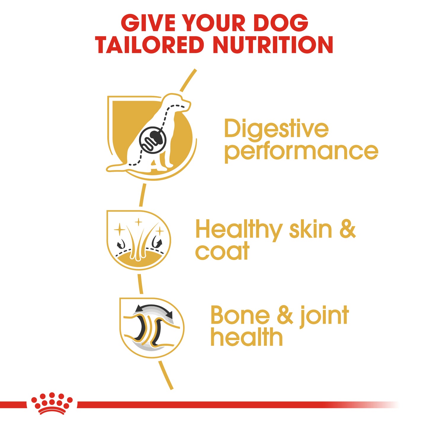 Royal Canin German Shepherd Adult | Dry Dog Food