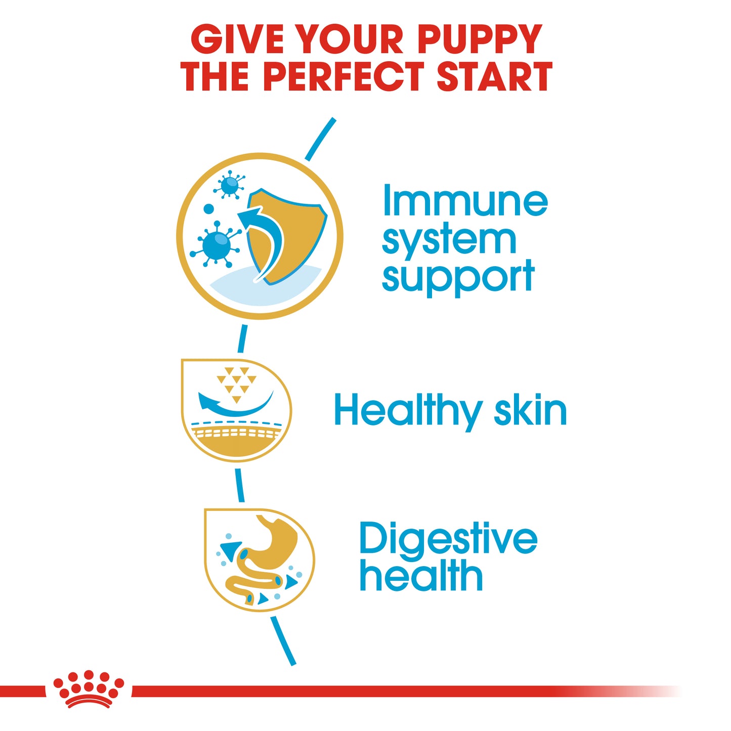 Royal Canin Pug Puppy | Dry Dog Food