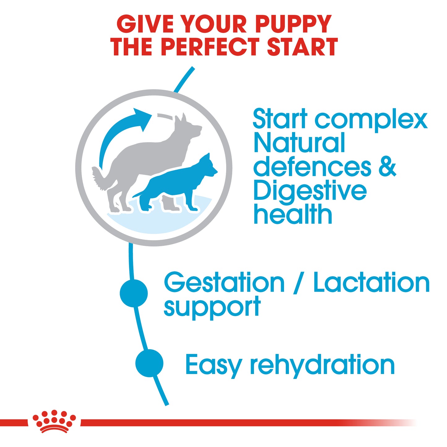 Royal Canin Maxi Starter | Dry Dog Food