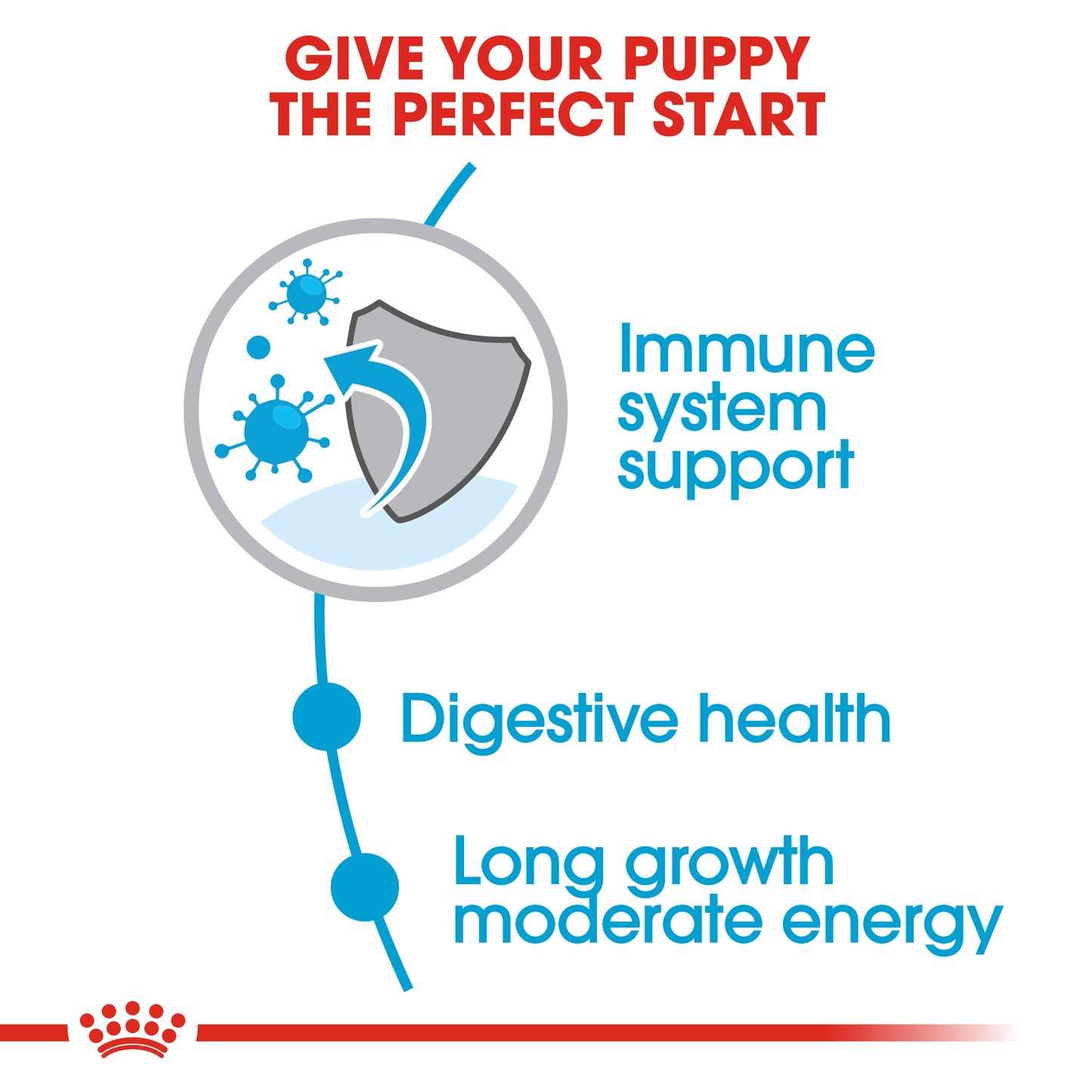 Royal Canin Maxi Puppy | Dry Dog Food