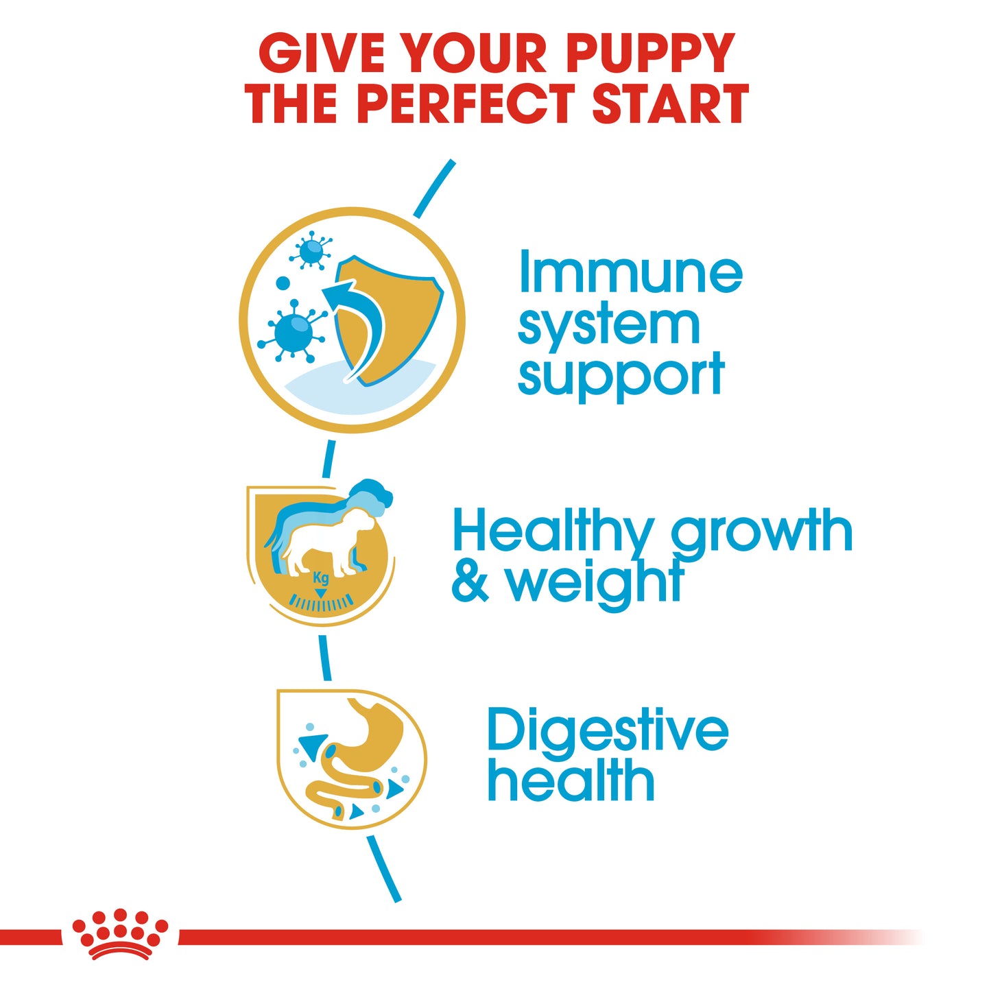 Royal Canin Labrador Puppy | Dry Dog Food