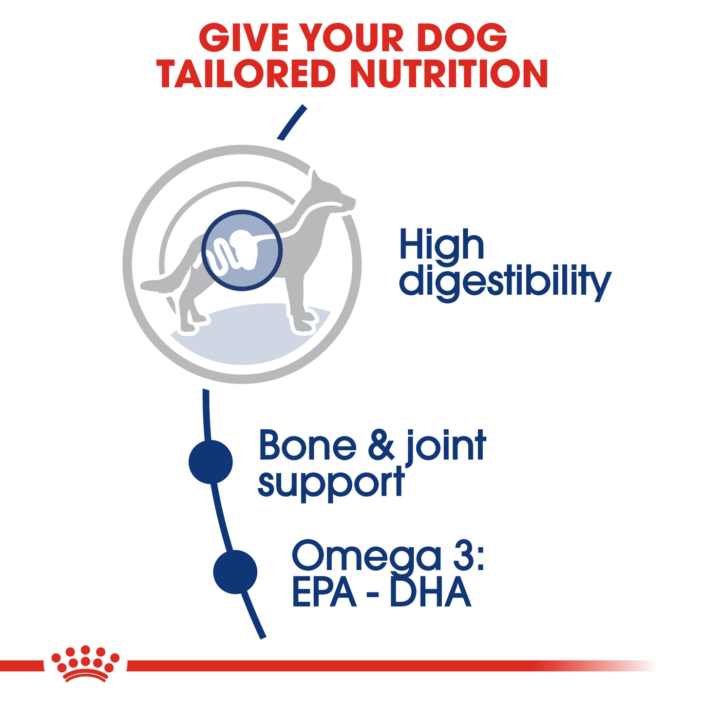 Royal Canin Maxi Adult | Dry Dog Food