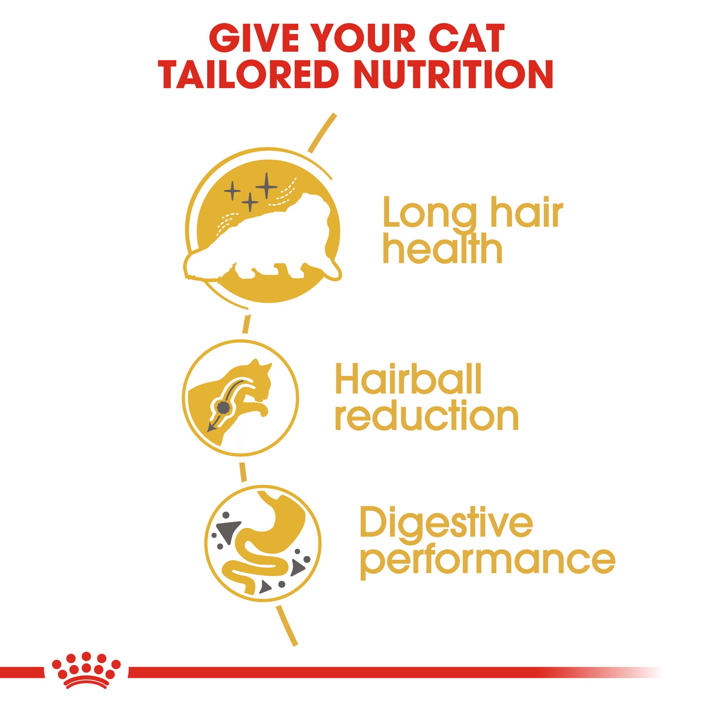 Royal Canin Persian Adult | Dry Cat Food