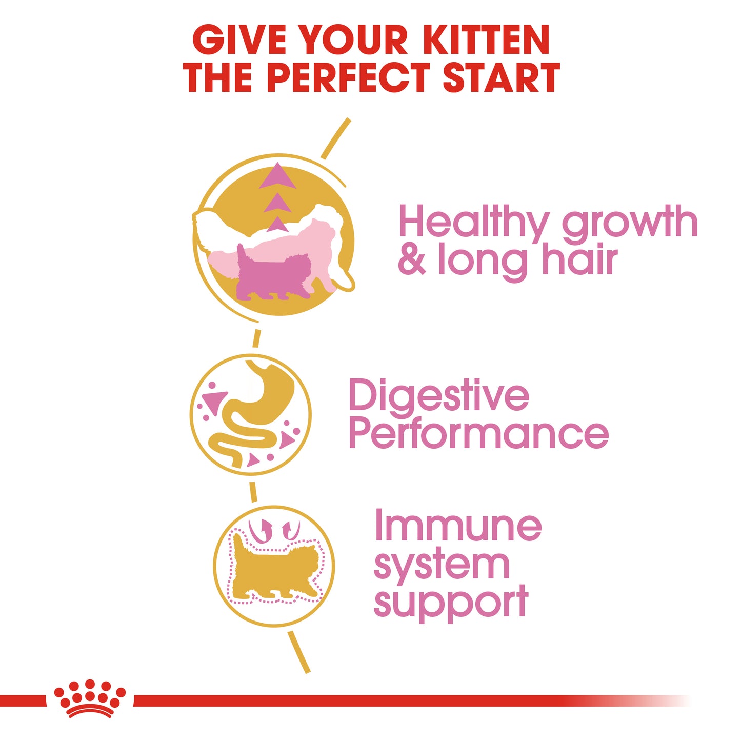 Royal Canin Persian Kitten | Dry Cat Food