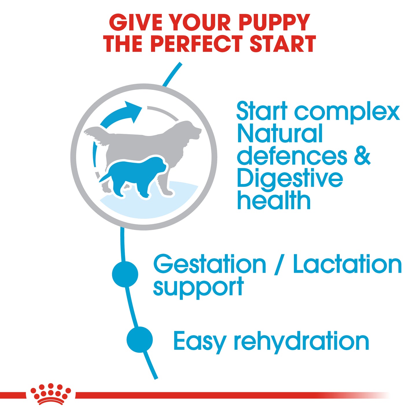 Royal Canin Giant Starter | Dry Dog Food
