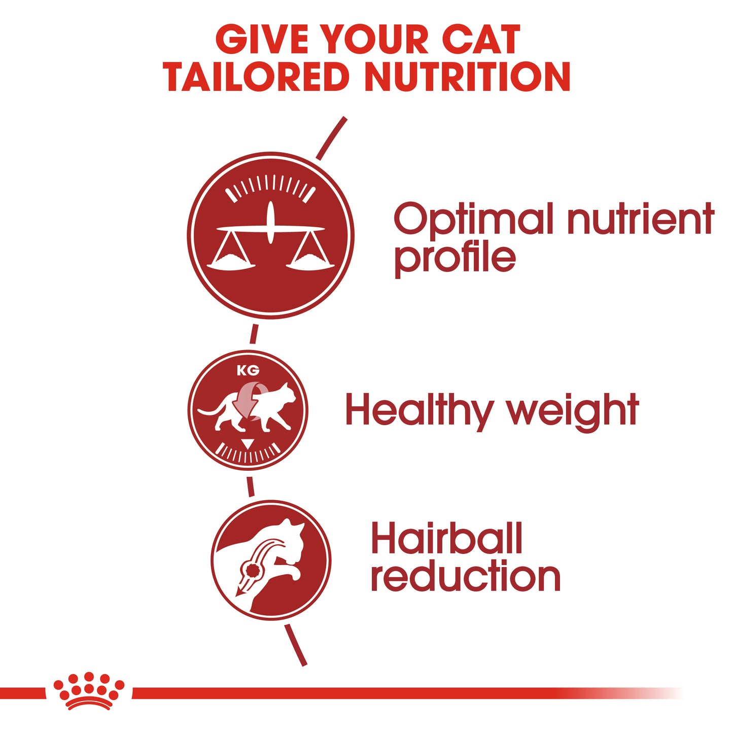 Royal Canin Fit 32 | Dry Cat Food
