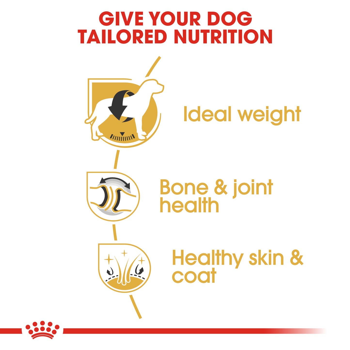 Royal Canin Labrador Adult | Dry Dog Food
