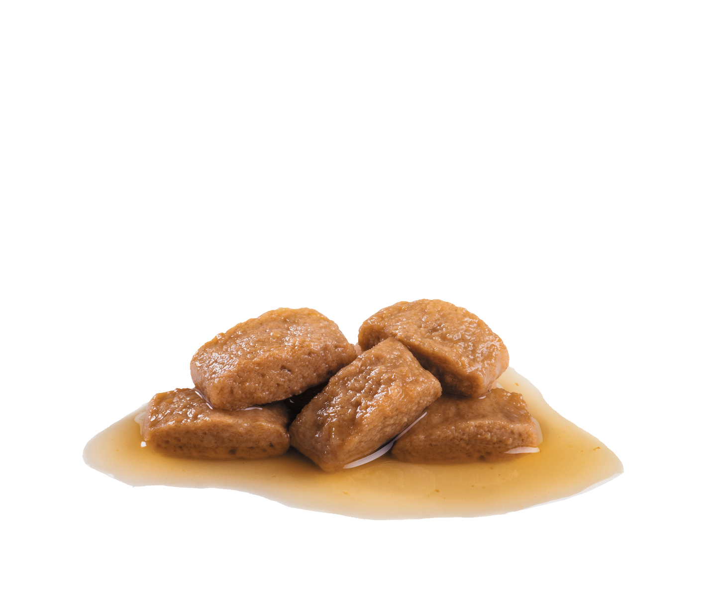Royal Canin Maxi Adult Gravy | Wet Dog Food