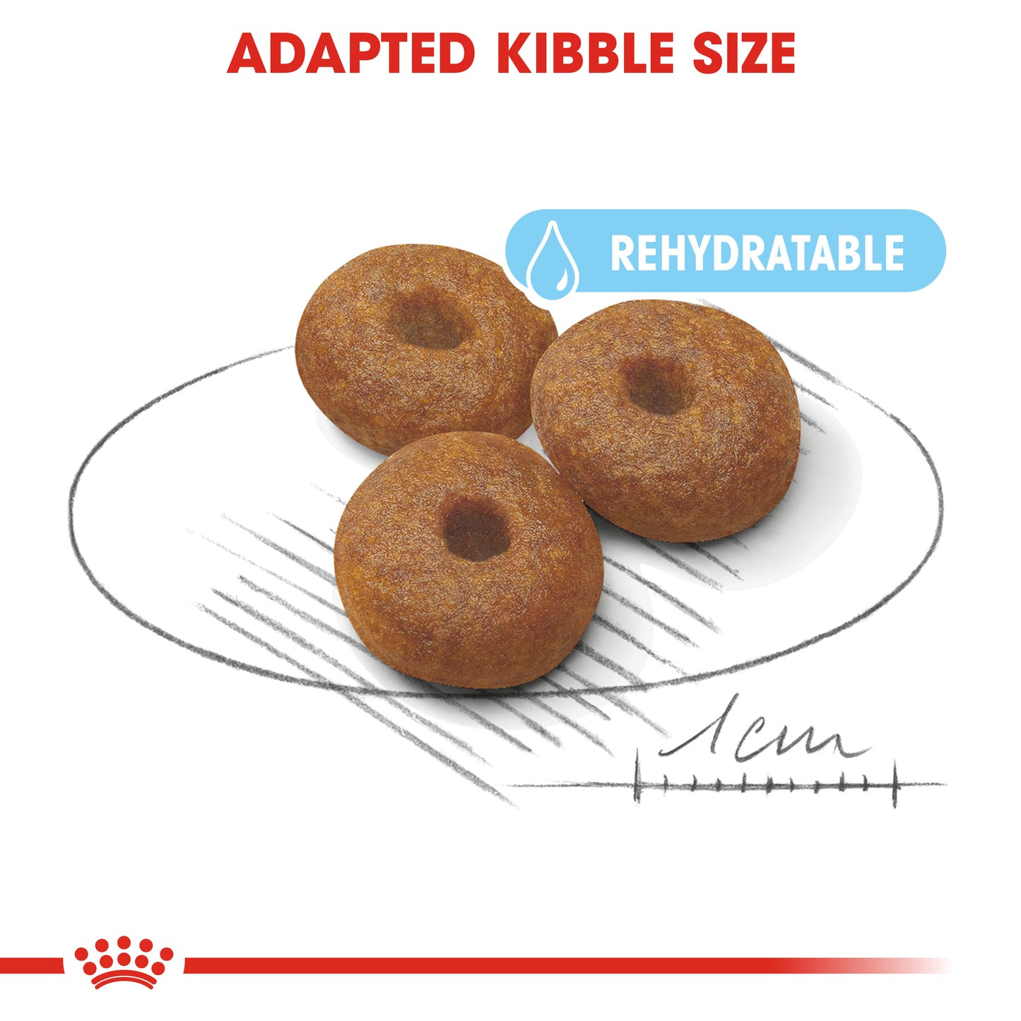 Royal Canin Maxi Starter | Dry Dog Food