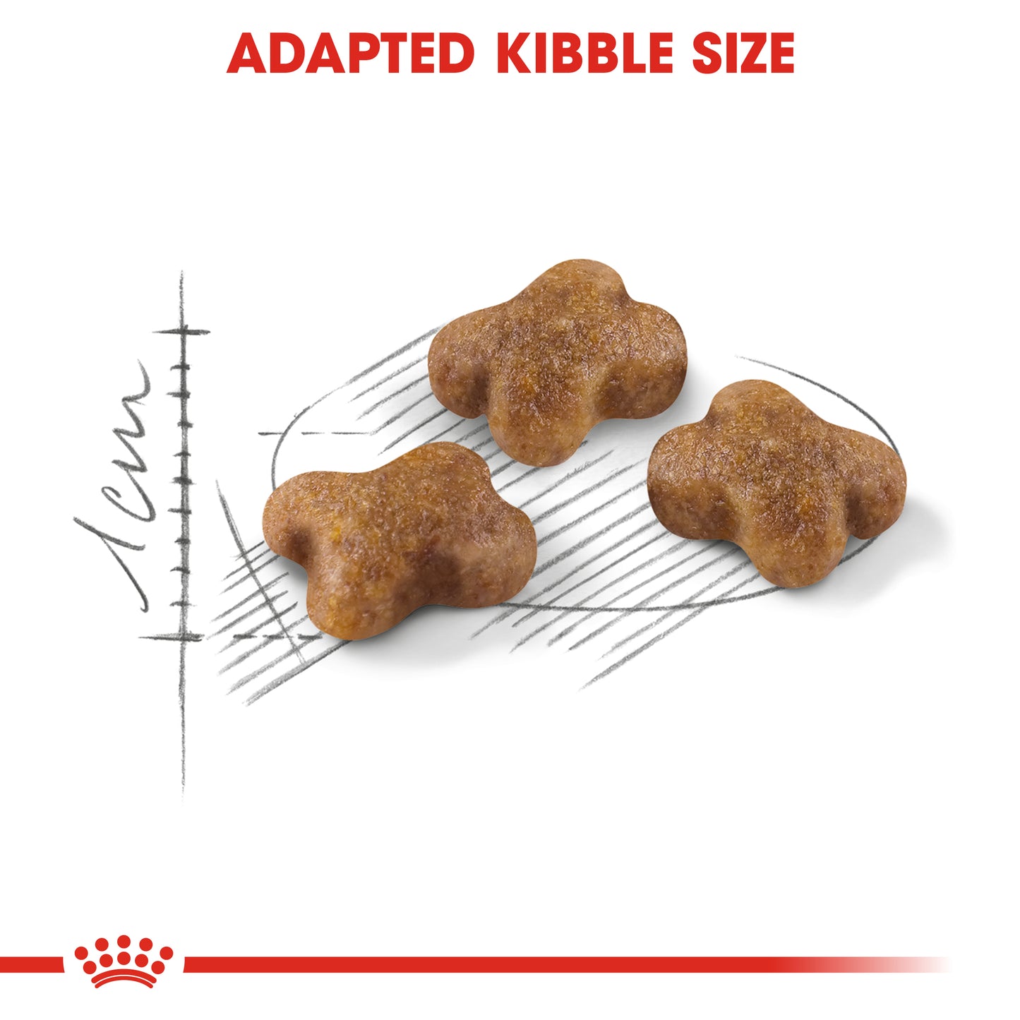 Royal Canin Kitten | Dry Cat Food