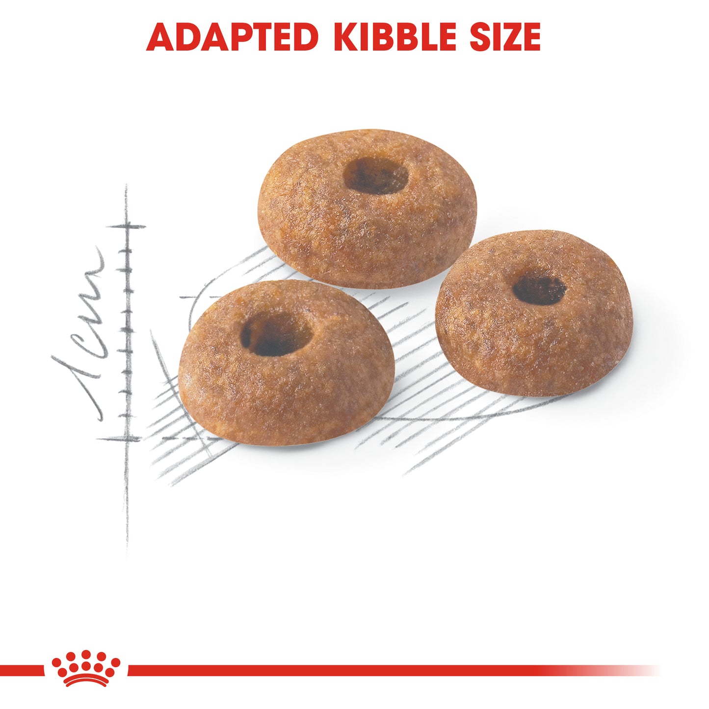 Royal Canin Fit 32 | Dry Cat Food