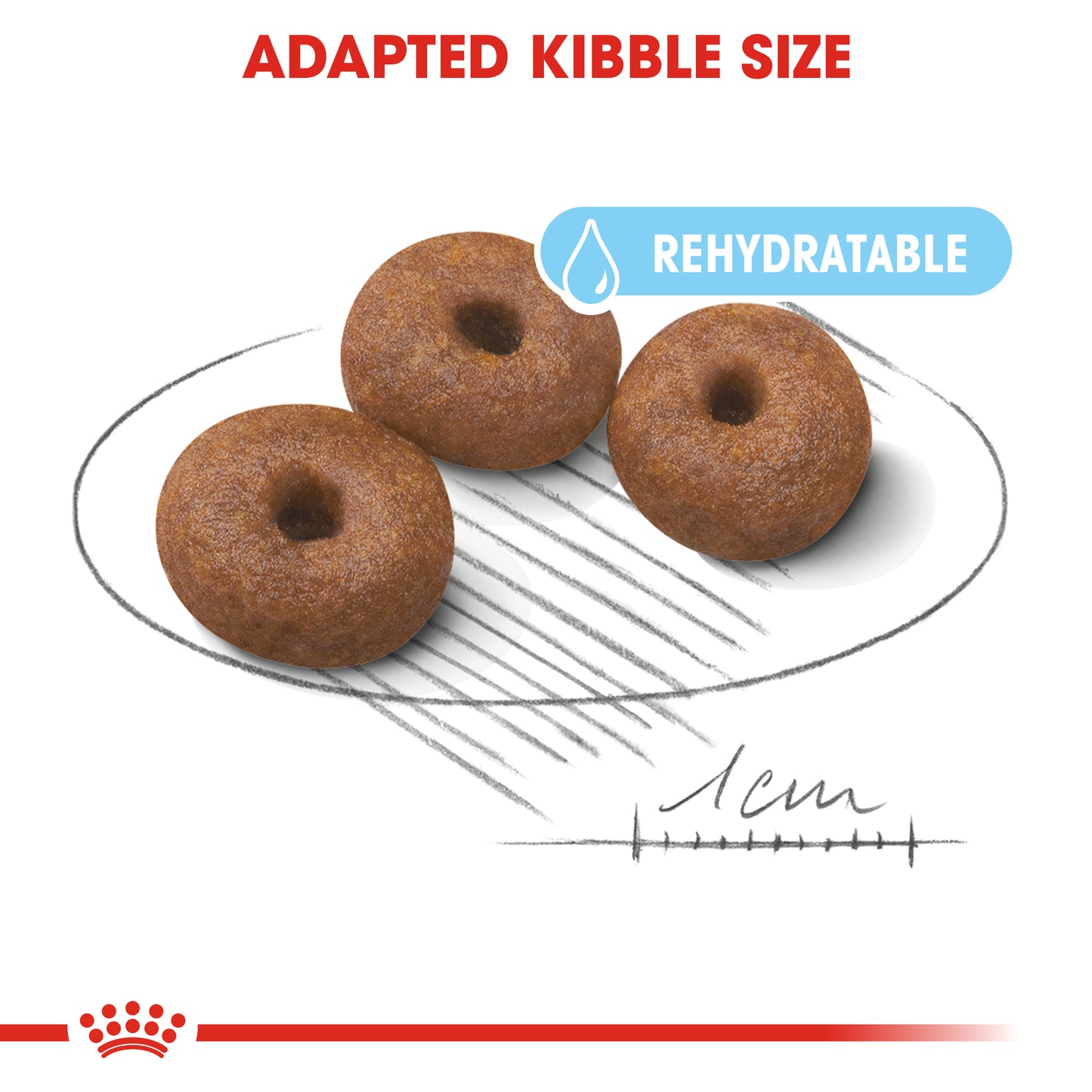 Royal Canin Giant Starter | Dry Dog Food