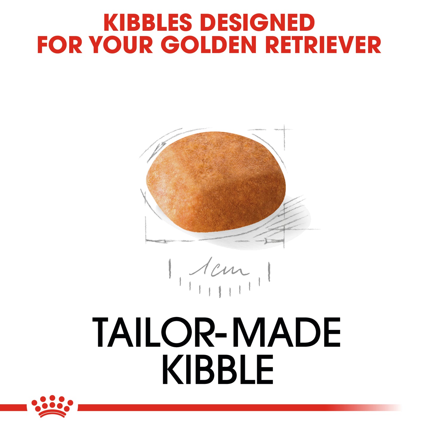 Royal Canin Golden Retriever Puppy | Dry Dog Food