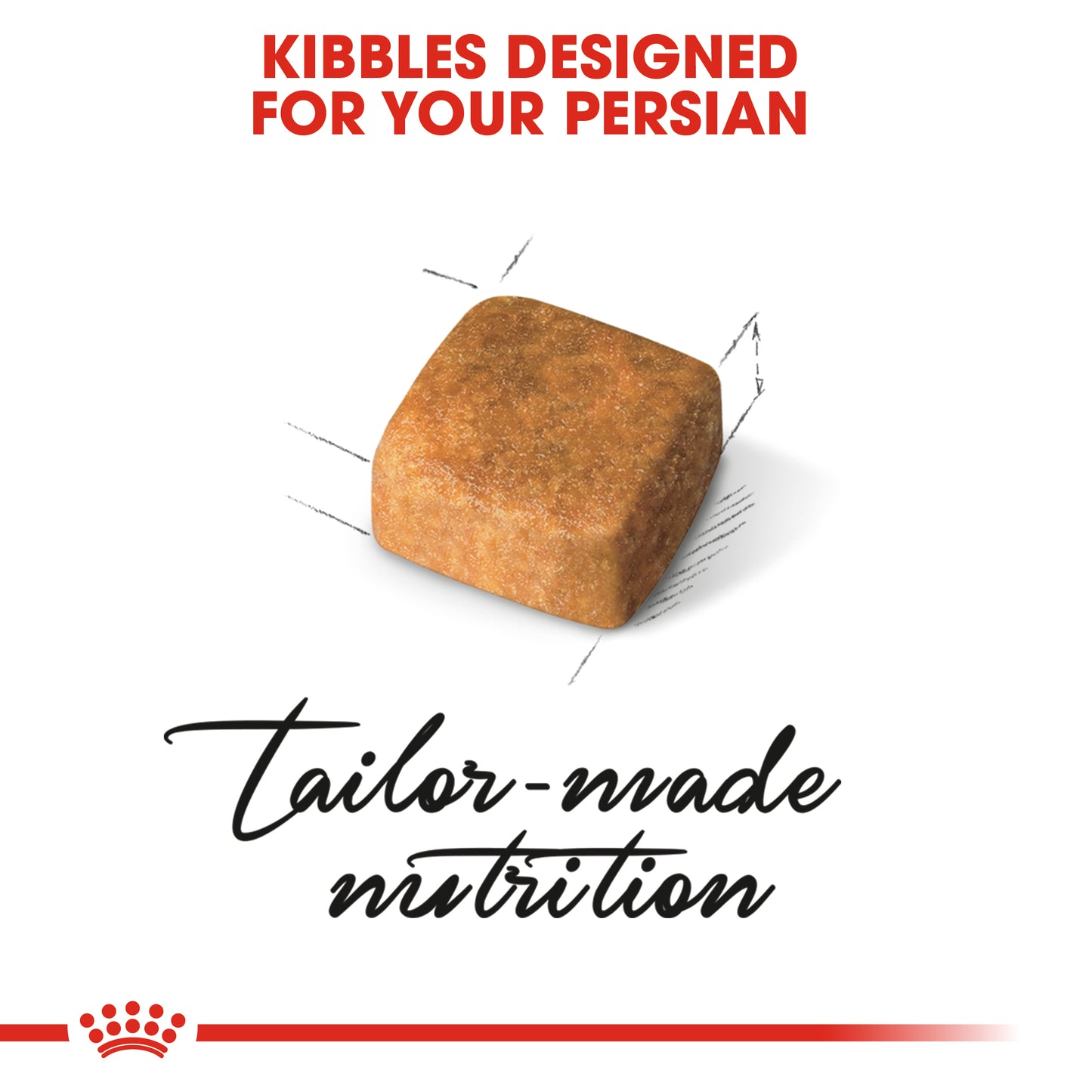 Royal Canin Persian Kitten | Dry Cat Food
