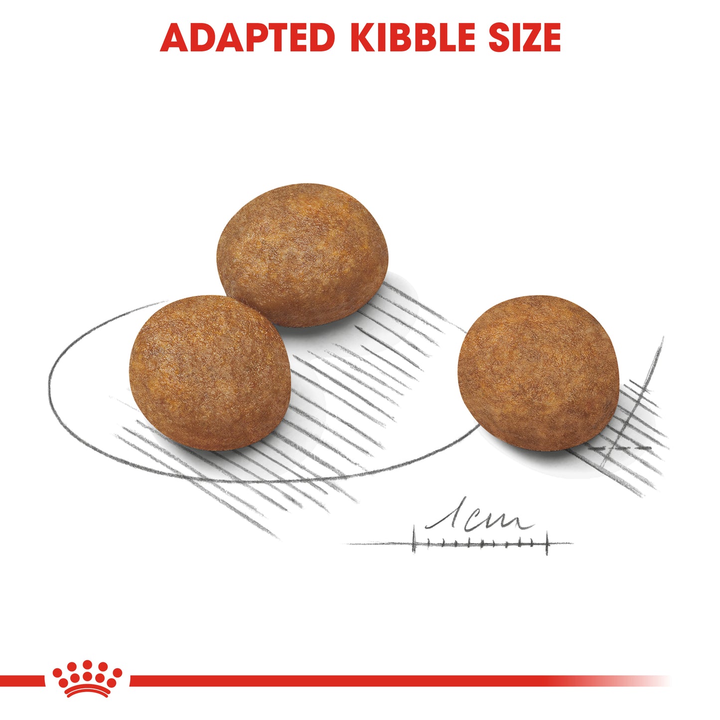 Royal Canin Maxi Puppy | Dry Dog Food