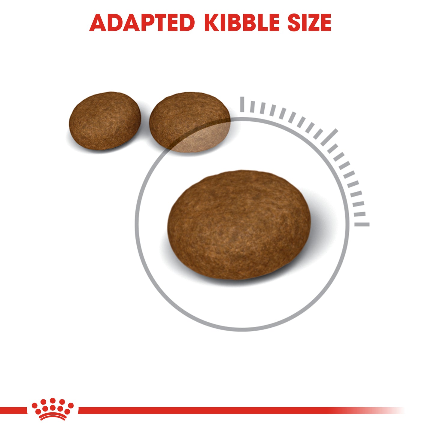 Royal Canin Hair & Skin | Dry Cat Food