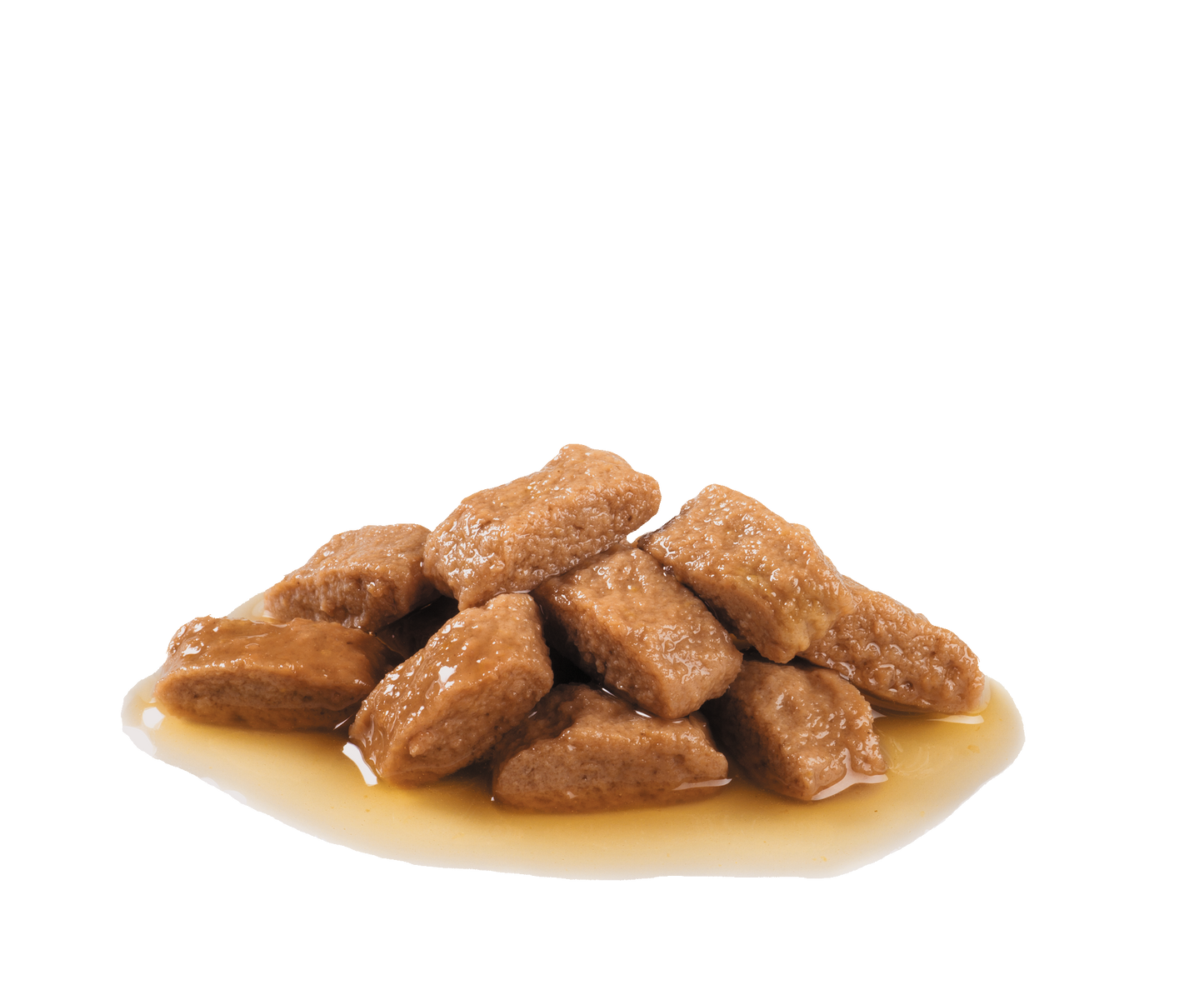 Royal Canin Medium Adult Gravy | Wet Dog Food