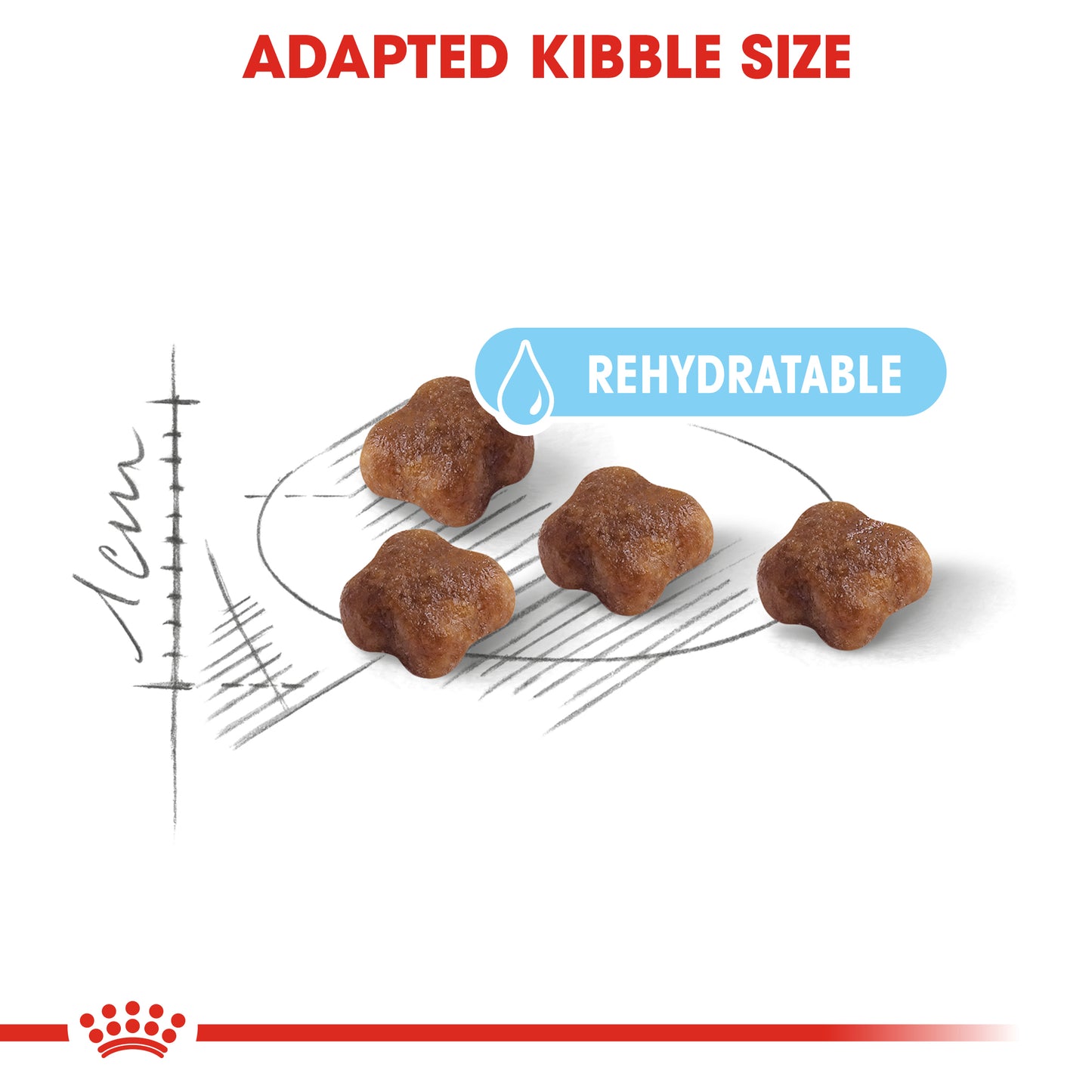 Royal Canin Mother & Baby Cat | Dry Cat Food