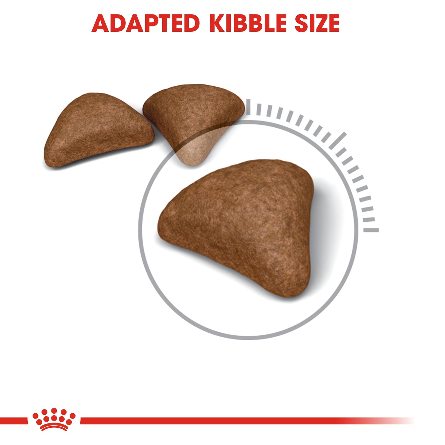 Royal Canin Hairball Care | Dry Cat Food