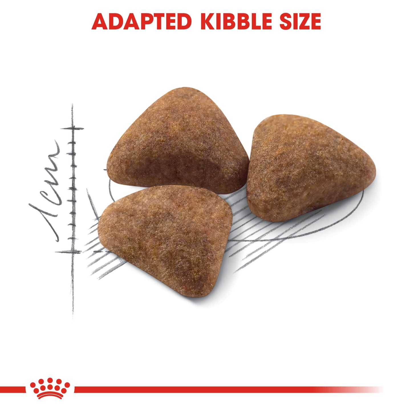 Royal Canin Indoor | Dry Cat Food