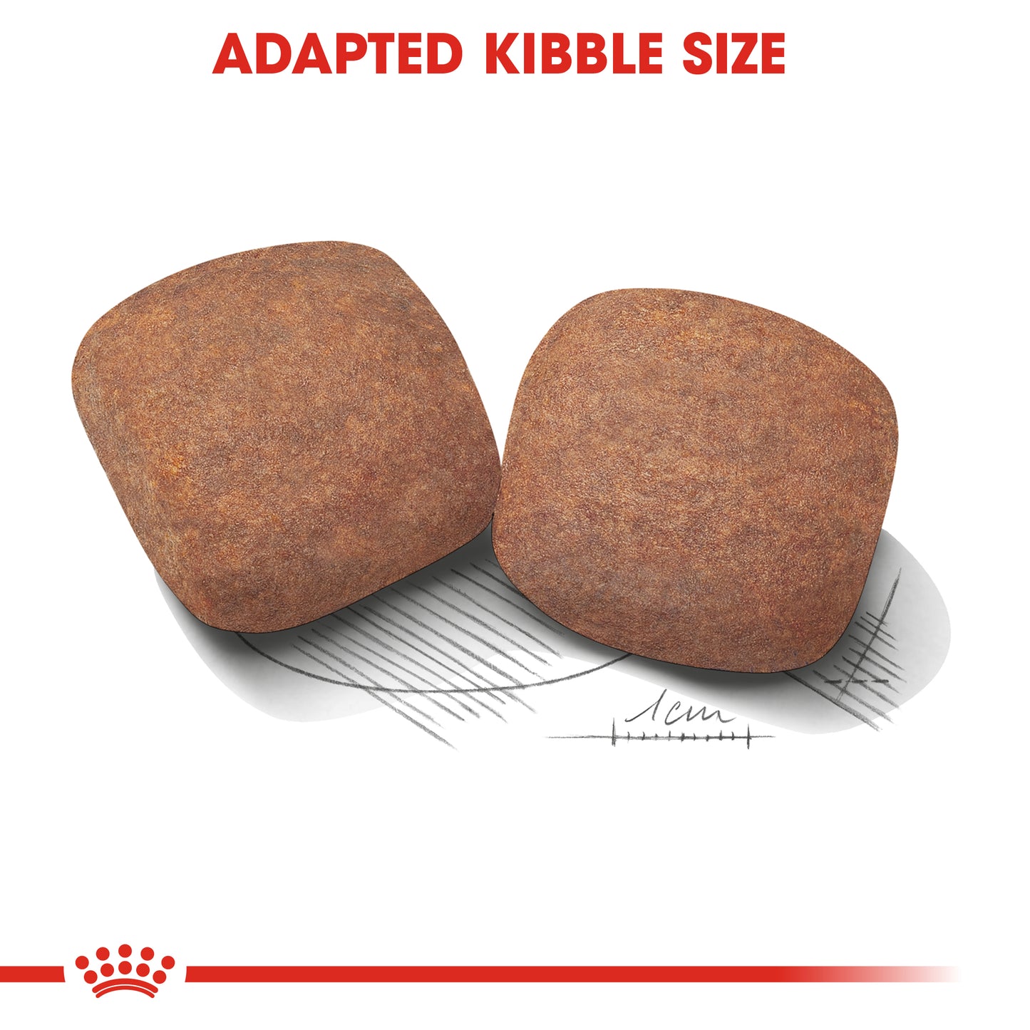 Royal Canin Giant Adult | Dry Dog Food