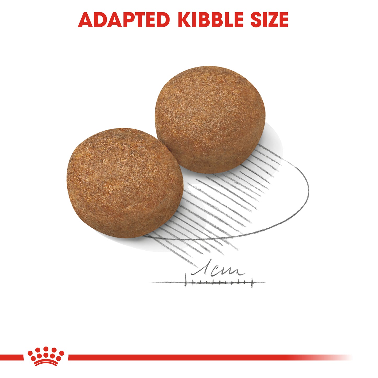 Royal Canin Maxi Adult | Dry Dog Food