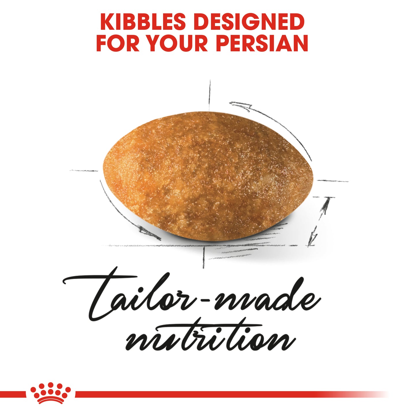 Royal Canin Persian Adult | Dry Cat Food
