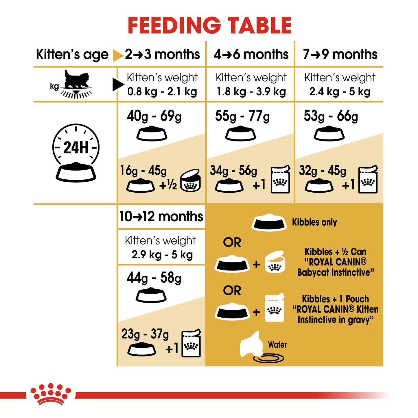 Royal Canin Persian Kitten | Dry Cat Food