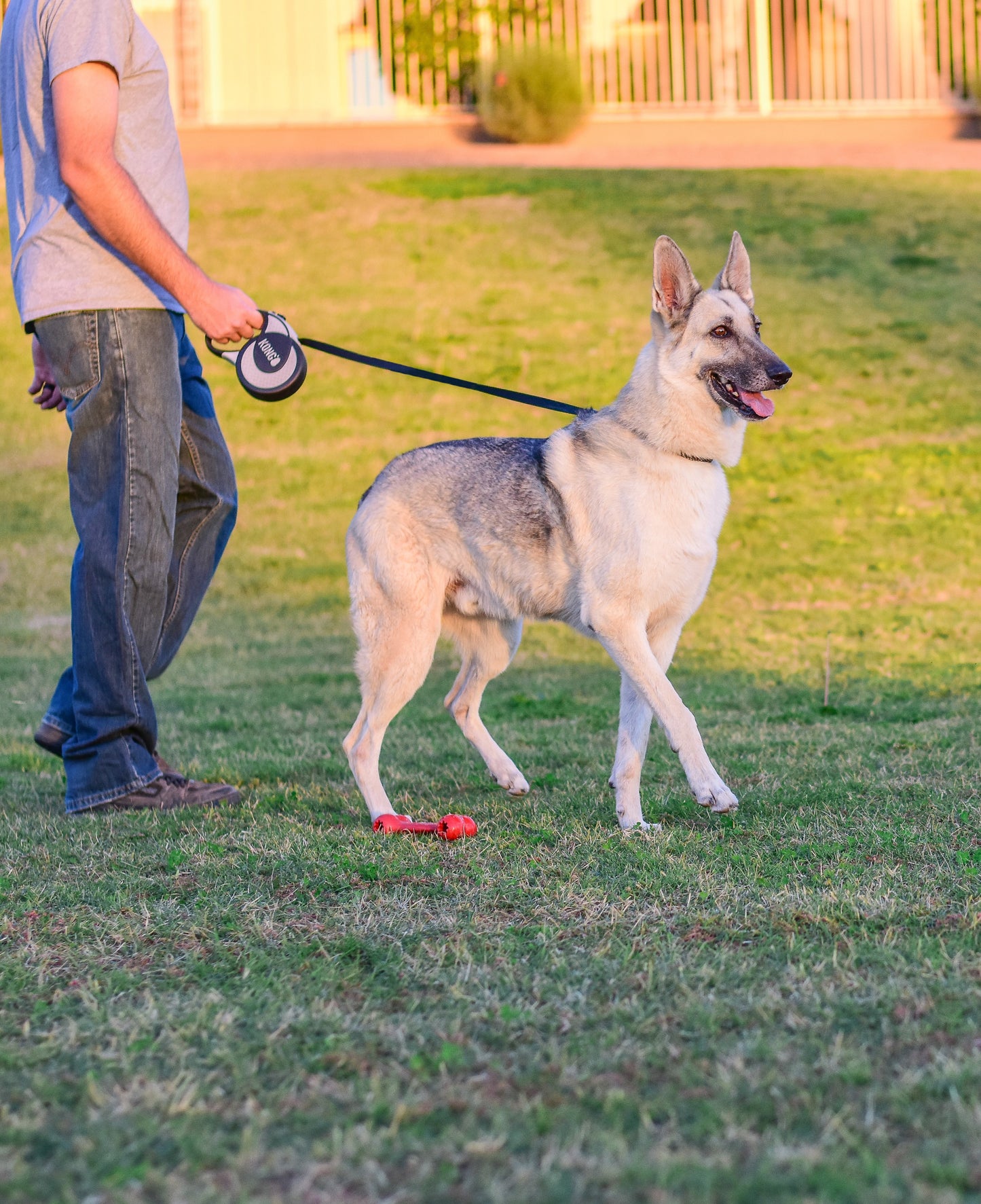 KONG Terrain Retractable Leash