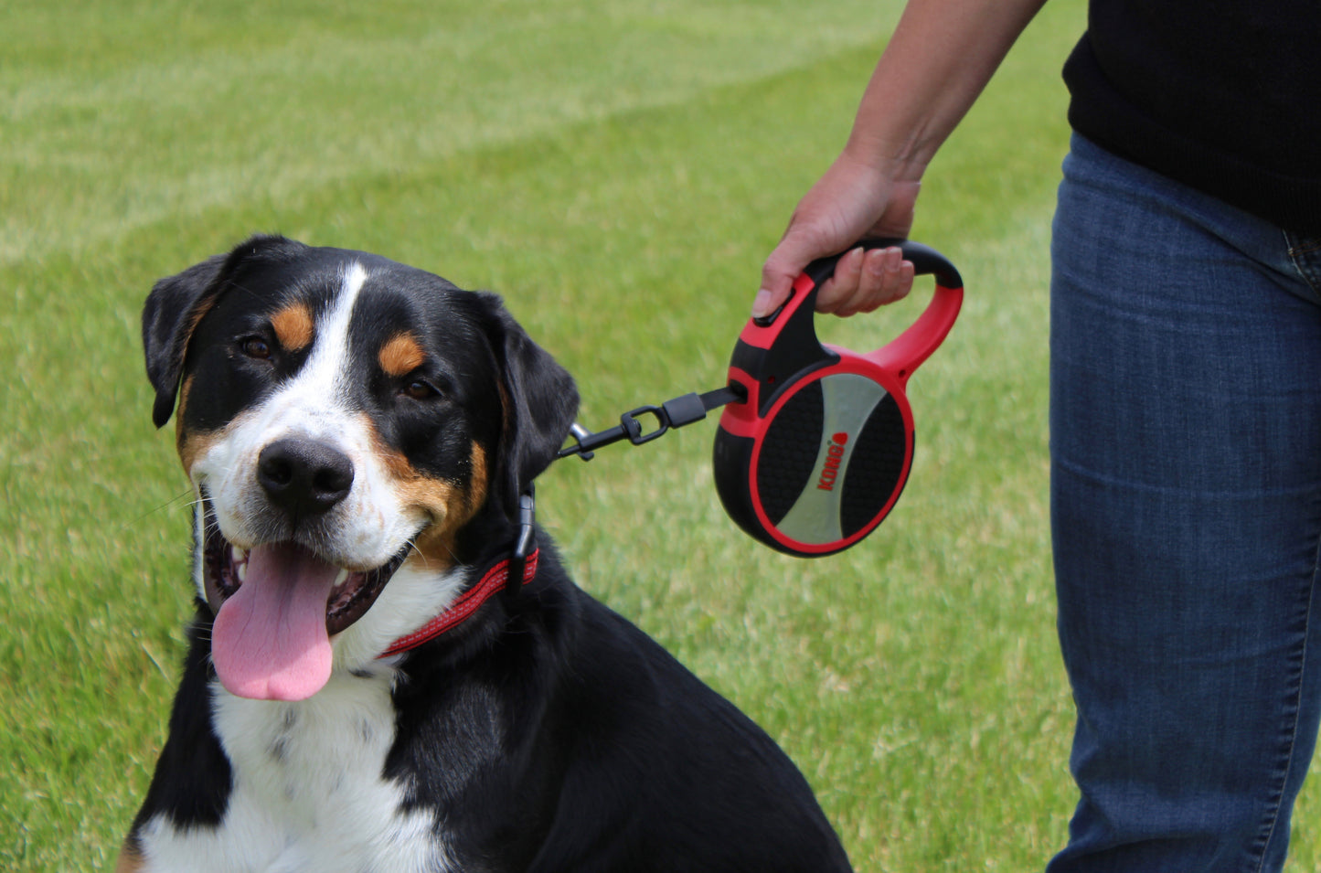 KONG Explore Retractable Leash