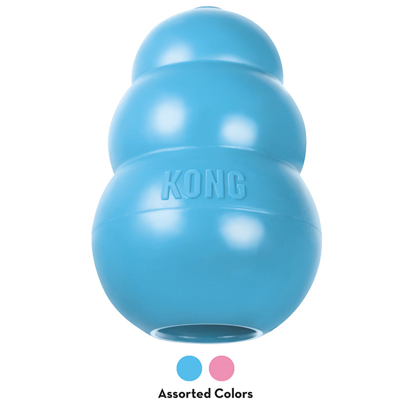 KONG Puppy