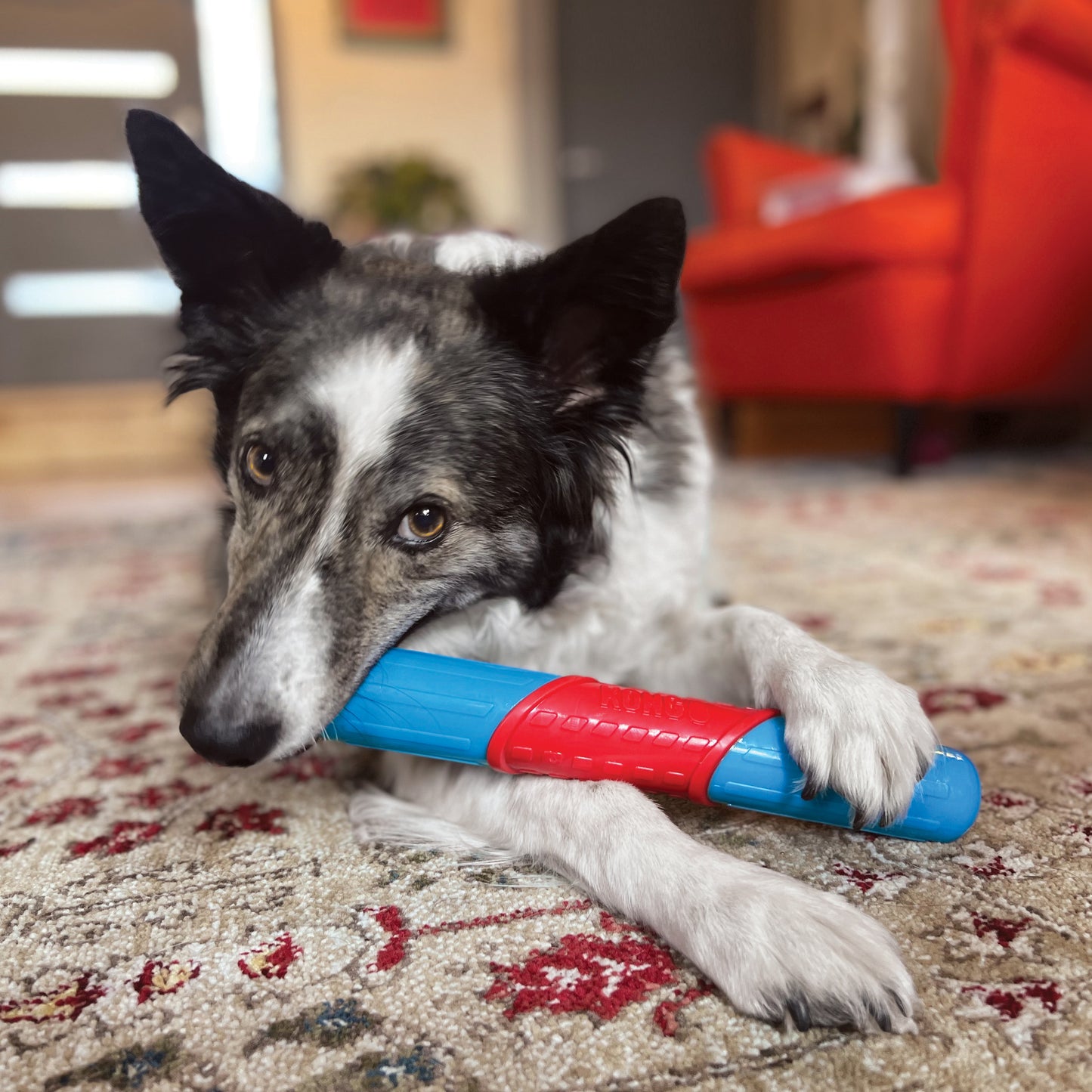 KONG CoreStrength Rattlez Stick
