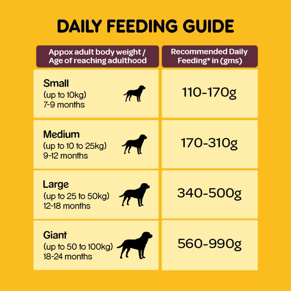 Pedigree Adult Meat & Rice | Dry Dog Food