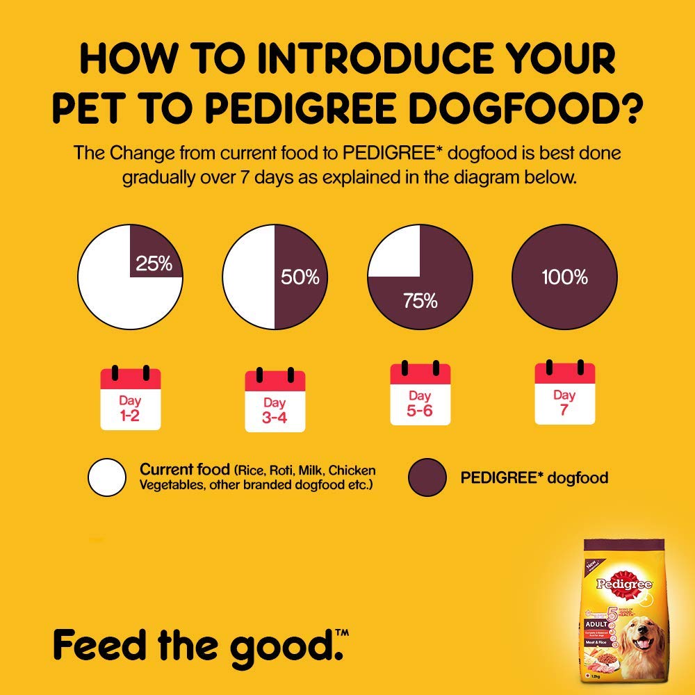 Pedigree Adult Meat & Rice | Dry Dog Food